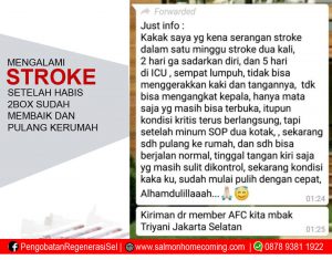 stroke ringan apa bisa sembuh