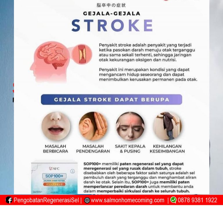 Stroke Pecah Pembuluh Darah Membaik Apakah Bisa Sembuh Total