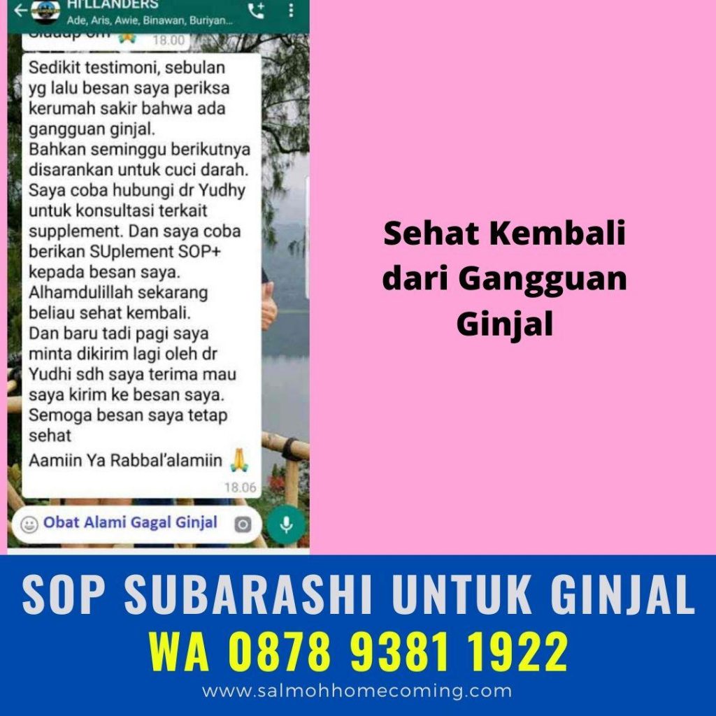 testimoni SOP Subarashi untuk Ginjal